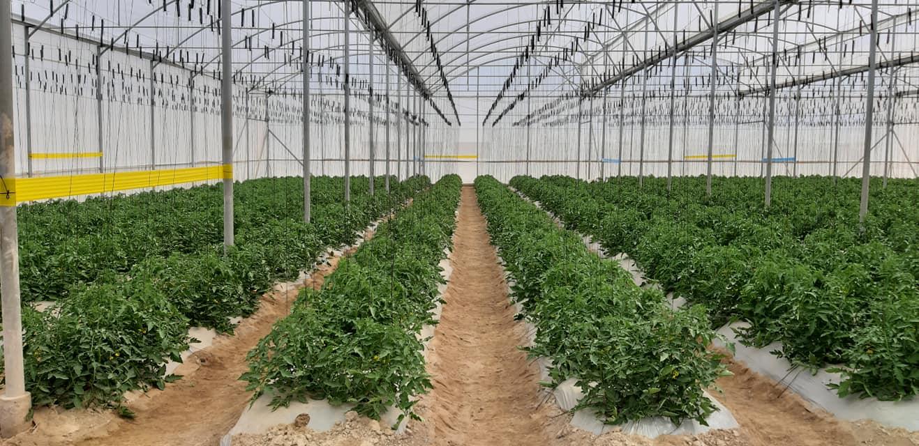 Panama seeks international investments for its agroparks project. 
